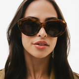 NOHO - Tortoise